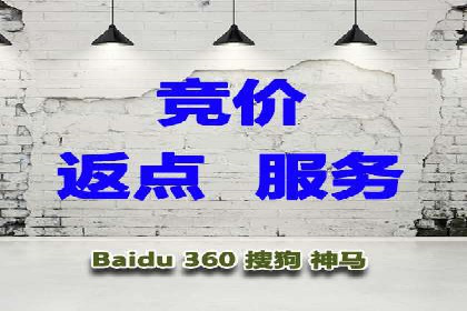 SEM竞价代运营公司案例深度解析